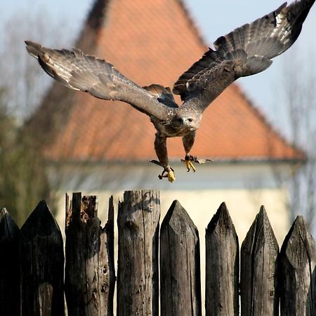 Penzion Melodia Kanianka Exteriör bild